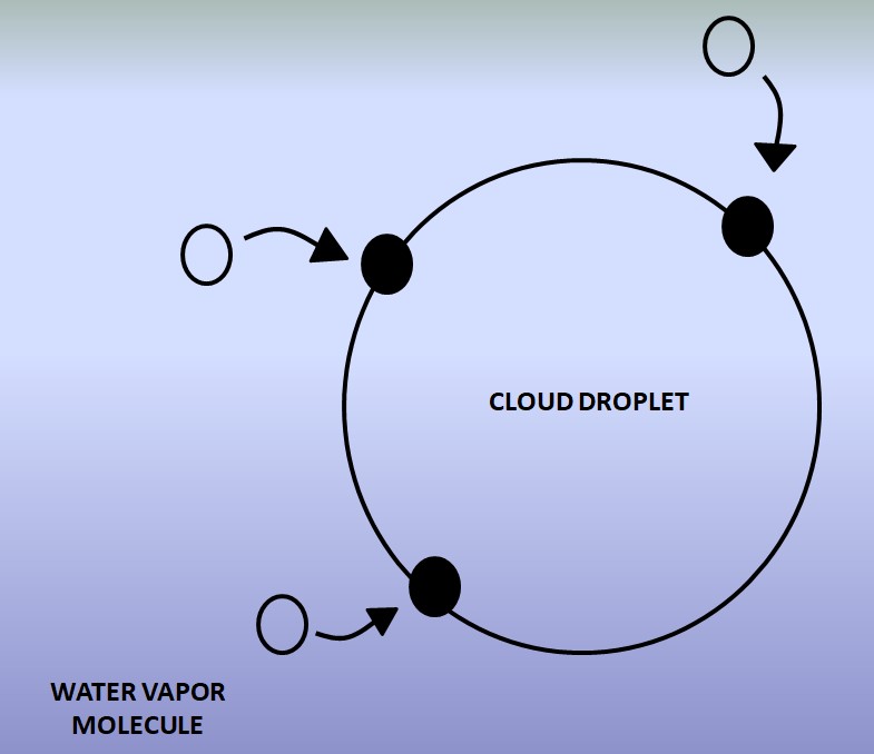 Cloud Droplet Growth